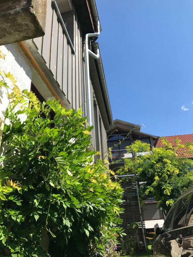 Blackbird'S Nest Wiesenbronn Екстериор снимка